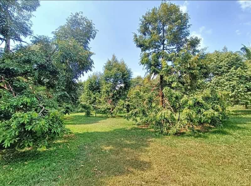 Tanah Pertanian untuk Dijual di Gopeng (Perak) - SK Kok - Garden - PropertyGuru.com.my