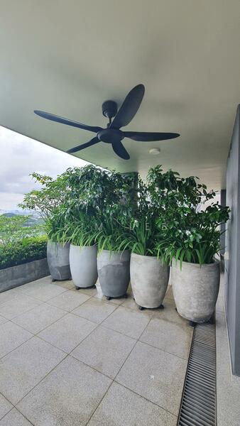 Untuk Disewa - One Equine