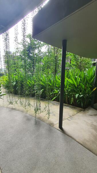 Untuk Disewa - One Equine