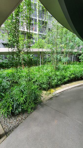 Untuk Disewa - One Equine