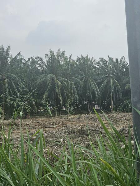 Industrial Land for Sale in Kerling (Selangor) - Grace Chooi - PropertyGuru.com.my