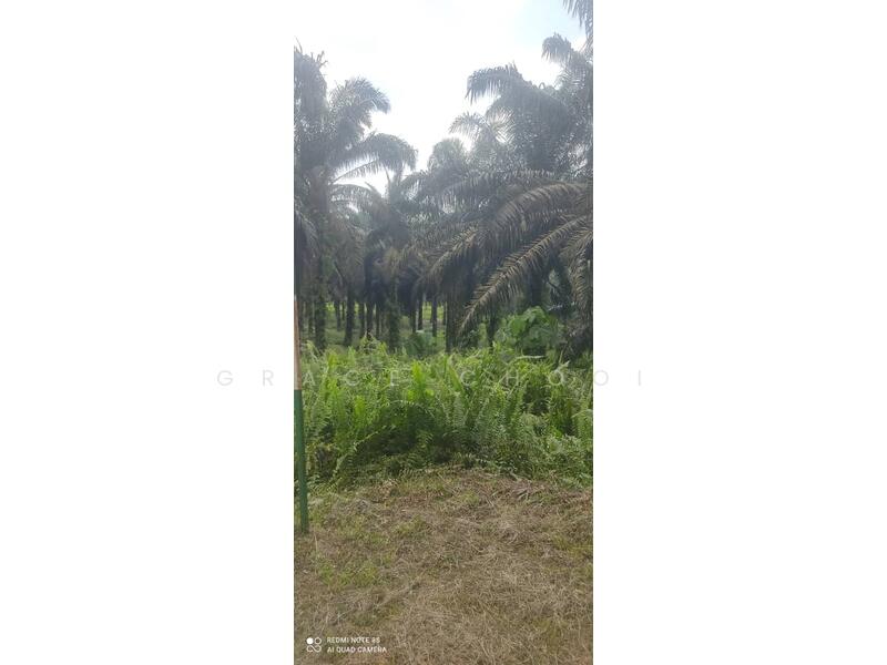 Industrial Land for Sale in Kerling (Selangor) - Grace Chooi - Exterior - PropertyGuru.com.my