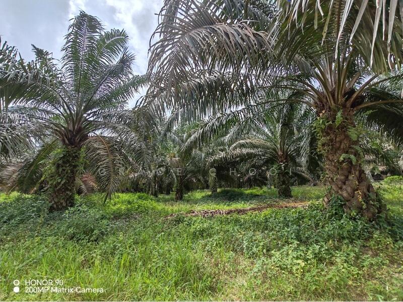Industrial Land for Sale in Kerling (Selangor) - Grace Chooi - Exterior - PropertyGuru.com.my