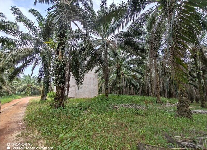 Agricultural Land for Sale in Port Dickson (Negeri Sembilan) - Grace Chooi - Exterior - PropertyGuru.com.my