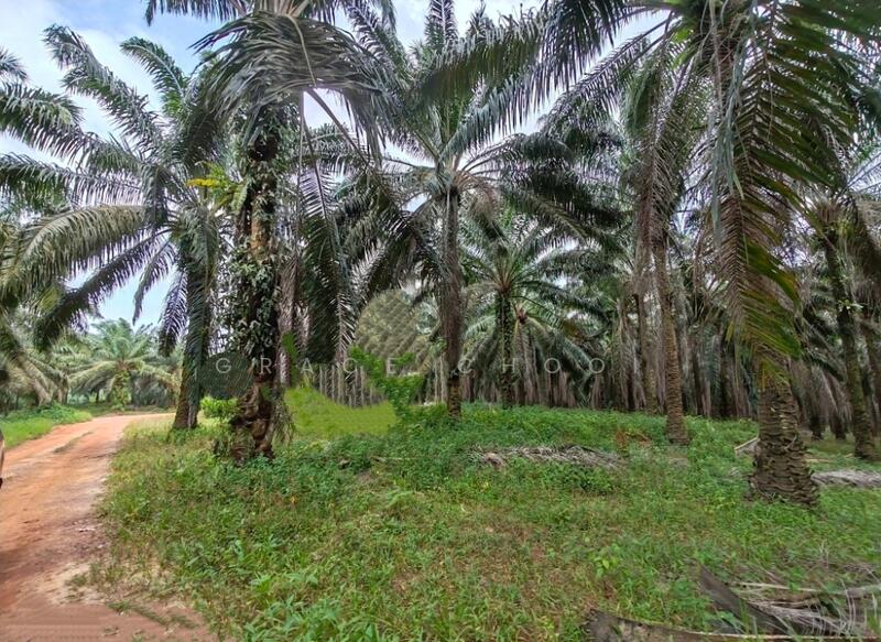 Agricultural Land for Sale in Port Dickson (Negeri Sembilan) - Grace Chooi - PropertyGuru.com.my