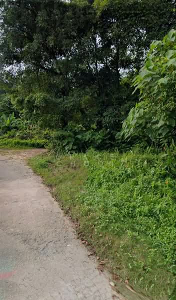 Commercial Land for Sale in Batang Berjuntai (Selangor) - Grace Chooi - PropertyGuru.com.my