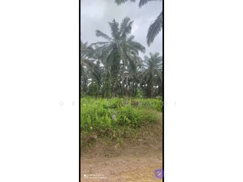 Tanah Pertanian untuk Dijual di Seremban (Negeri Sembilan) - Grace Chooi - Exterior - PropertyGuru.com.my