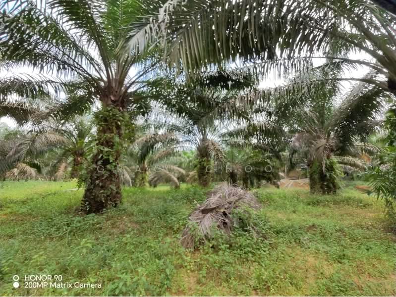 Tanah Pertanian untuk Dijual di Seremban (Negeri Sembilan) - Grace Chooi - PropertyGuru.com.my