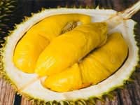 For Sale - Pahang