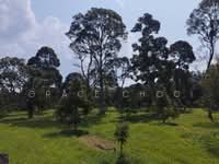 For Sale - Pahang