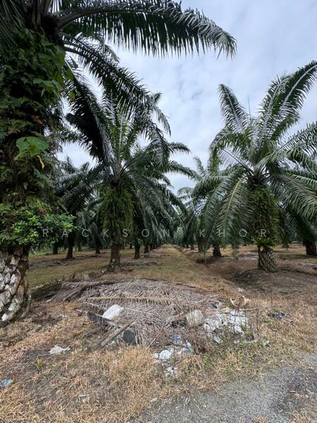 Tanah Perindustrian untuk Dijual di Nibong Tebal (Penang) - Rackson Khor - Exterior - PropertyGuru.com.my