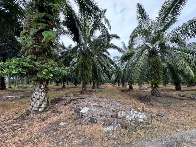 Tanah Perindustrian untuk Dijual di Nibong Tebal (Penang) - Rackson Khor - Exterior - PropertyGuru.com.my