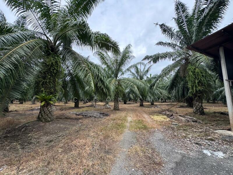 Tanah Perindustrian untuk Dijual di Nibong Tebal (Penang) - Rackson Khor - Exterior - PropertyGuru.com.my