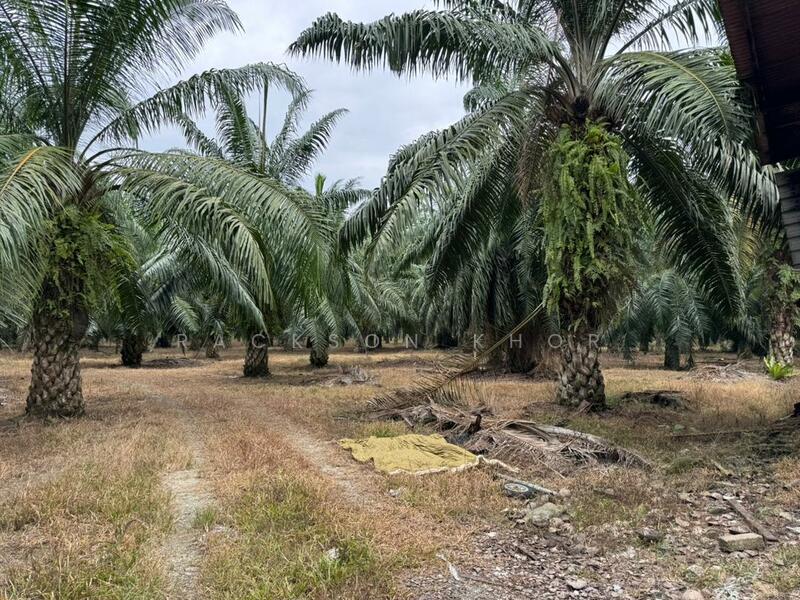 Tanah Perindustrian untuk Dijual di Nibong Tebal (Penang) - Rackson Khor - Exterior - PropertyGuru.com.my