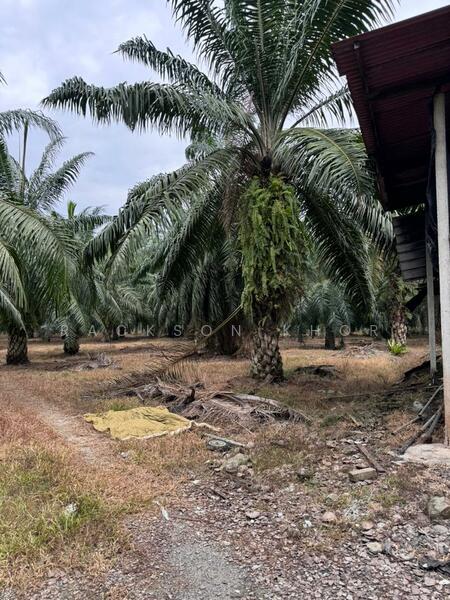 Tanah Perindustrian untuk Dijual di Nibong Tebal (Penang) - Rackson Khor - Exterior - PropertyGuru.com.my