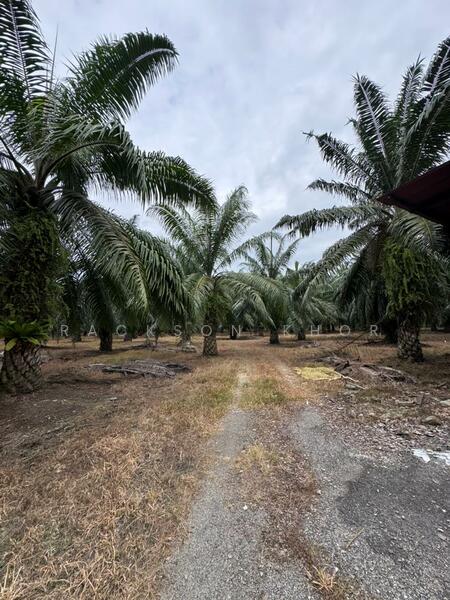 Tanah Perindustrian untuk Dijual di Nibong Tebal (Penang) - Rackson Khor - Exterior - PropertyGuru.com.my