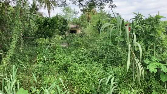 Residential Land for Sale in Kampung Baru Lahat (Ipoh) - Nicholas Poh - PropertyGuru.com.my