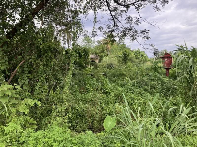 Residential Land for Sale in Kampung Baru Lahat (Ipoh) - Nicholas Poh - Exterior - PropertyGuru.com.my
