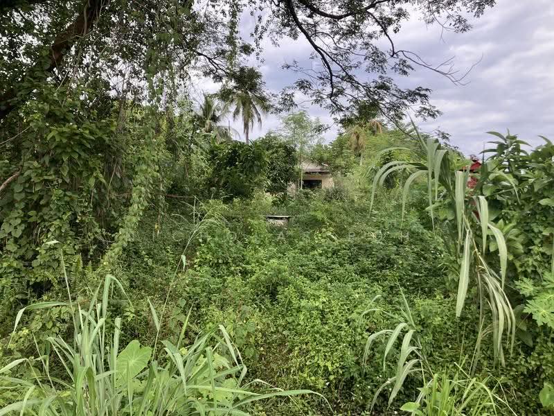 Residential Land for Sale in Kampung Baru Lahat (Ipoh) - Nicholas Poh - Exterior - PropertyGuru.com.my
