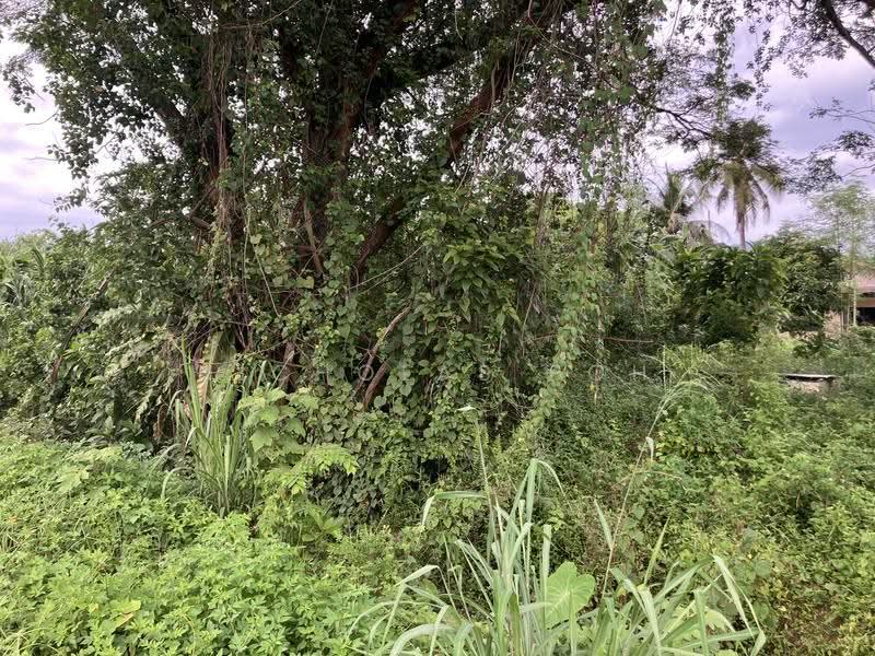 Residential Land for Sale in Kampung Baru Lahat (Ipoh) - Nicholas Poh - Exterior - PropertyGuru.com.my