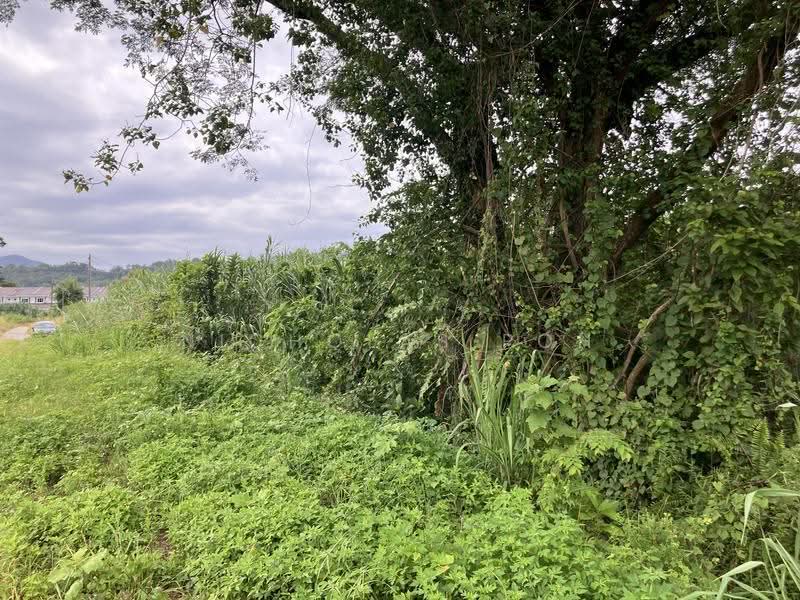 Residential Land for Sale in Kampung Baru Lahat (Ipoh) - Nicholas Poh - Exterior - PropertyGuru.com.my
