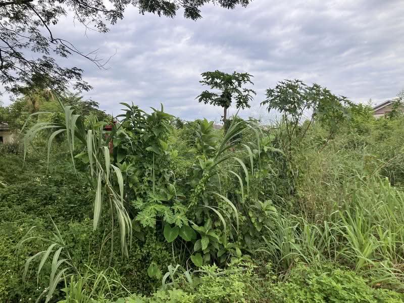 Residential Land for Sale in Kampung Baru Lahat (Ipoh) - Nicholas Poh - Exterior - PropertyGuru.com.my