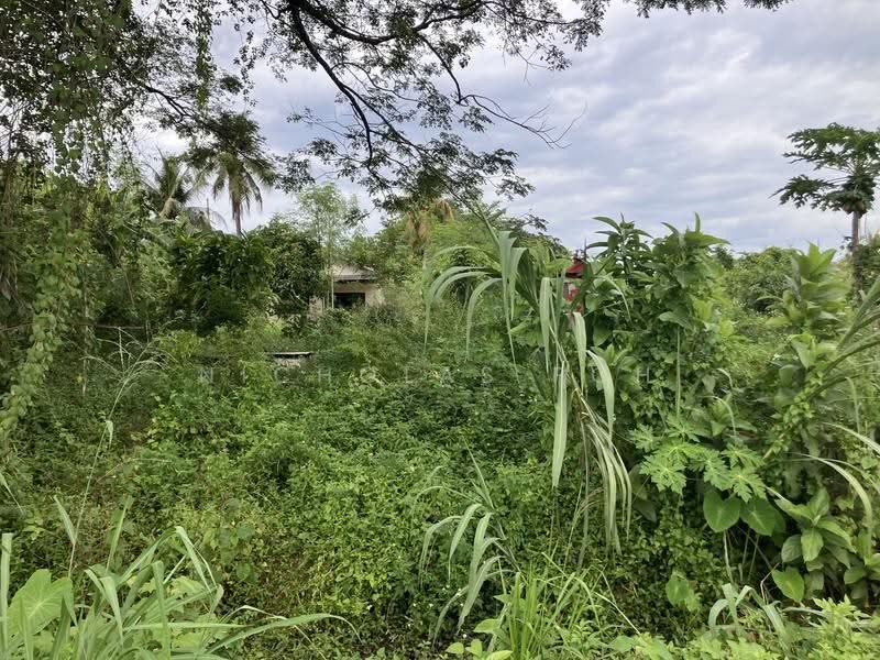 Residential Land for Sale in Kampung Baru Lahat (Ipoh) - Nicholas Poh - Exterior - PropertyGuru.com.my