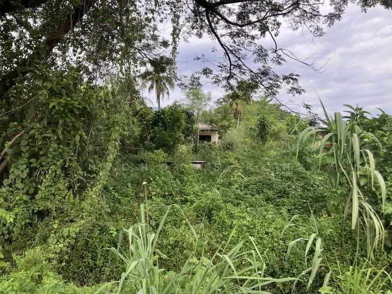 Residential Land for Sale in Kampung Baru Lahat (Ipoh) - Nicholas Poh - Exterior - PropertyGuru.com.my