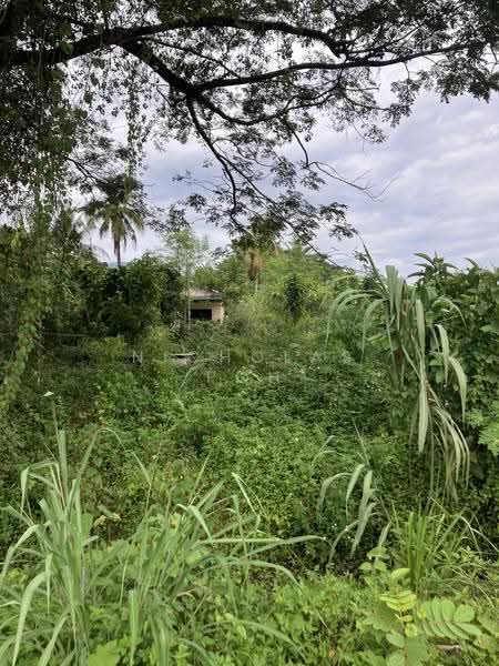 Residential Land for Sale in Kampung Baru Lahat (Ipoh) - Nicholas Poh - Exterior - PropertyGuru.com.my