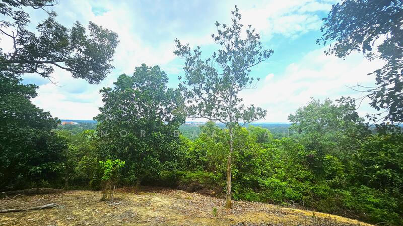 Gambar dari sempadan kanan tanah