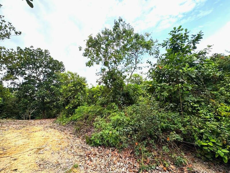 Gambar dari sempadan kanan tanah