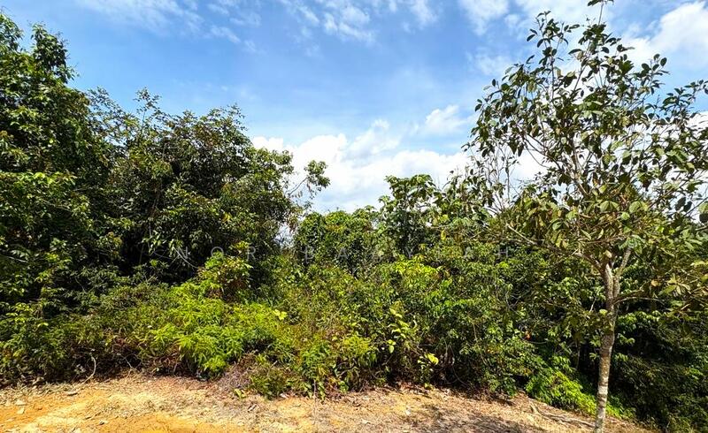 Gambar dari sempadan kanan tanah