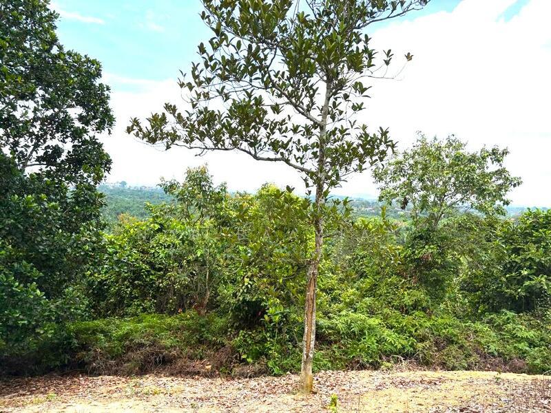 Gambar dari sempadan kanan tanah