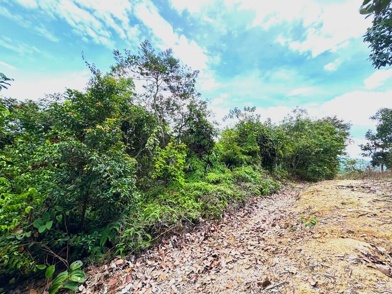 Gambar dari sempadan kanan tanah