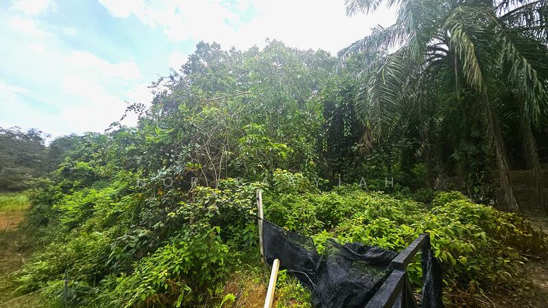 Gambar dari sempadan bawah tanah