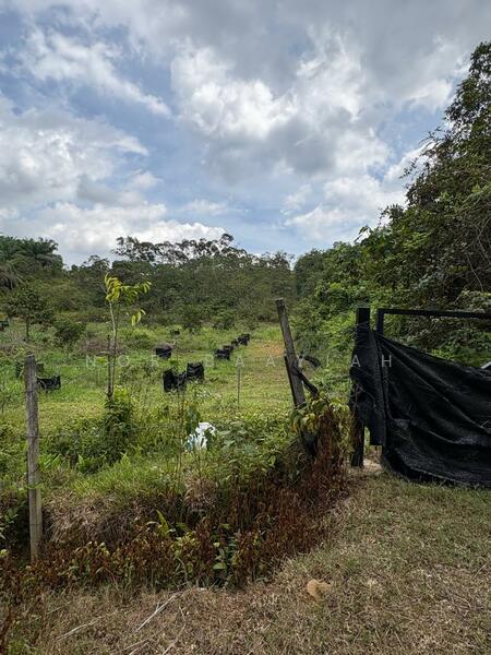 Gambar dari sempadan kiri tanah