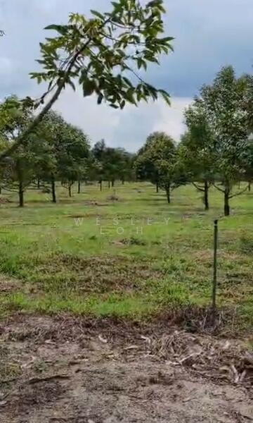 Tanah Pertanian untuk Dijual di Batang Padang (Perak) - WESLEY LOH - Exterior - PropertyGuru.com.my