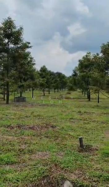 Tanah Pertanian untuk Dijual di Batang Padang (Perak) - WESLEY LOH - Garden - PropertyGuru.com.my