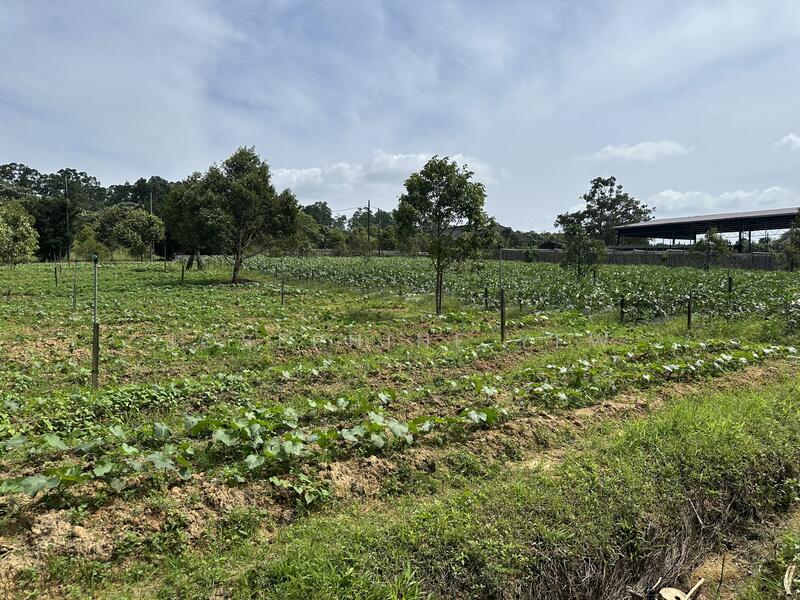 Agricultural Land for Sale in Ulu Tiram (Johor) - Josephine Yew - Garden - PropertyGuru.com.my