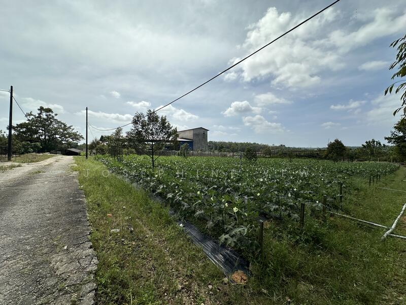 Agricultural Land for Sale in Ulu Tiram (Johor) - Josephine Yew - Exterior - PropertyGuru.com.my