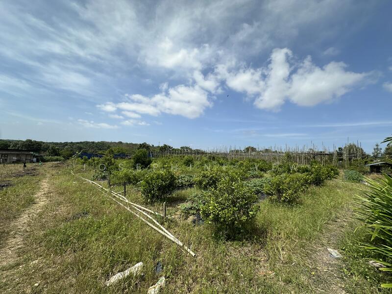 Agricultural Land for Sale in Ulu Tiram (Johor) - Josephine Yew - PropertyGuru.com.my
