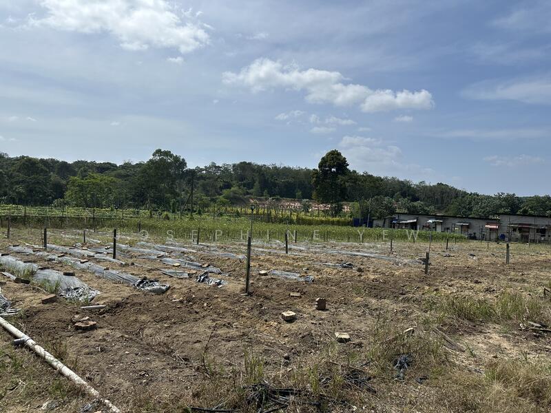 Agricultural Land for Sale in Ulu Tiram (Johor) - Josephine Yew - Exterior - PropertyGuru.com.my
