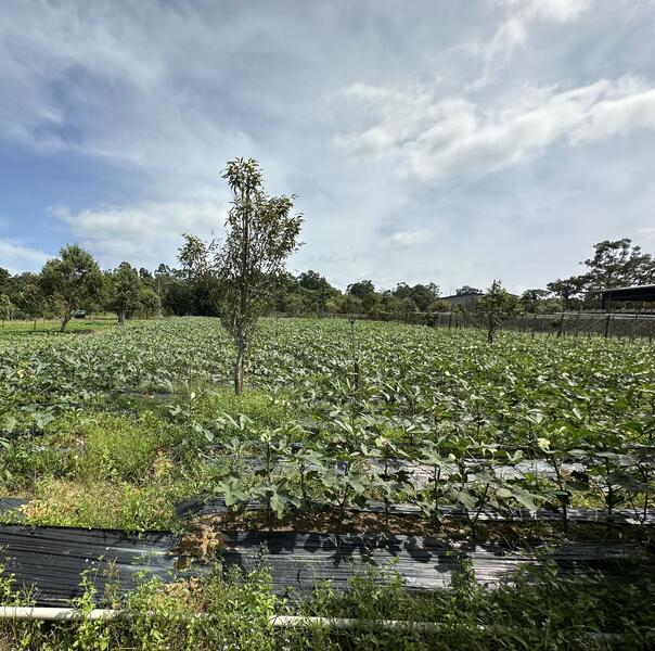 Agricultural Land for Sale in Ulu Tiram (Johor) - Josephine Yew - Exterior - PropertyGuru.com.my