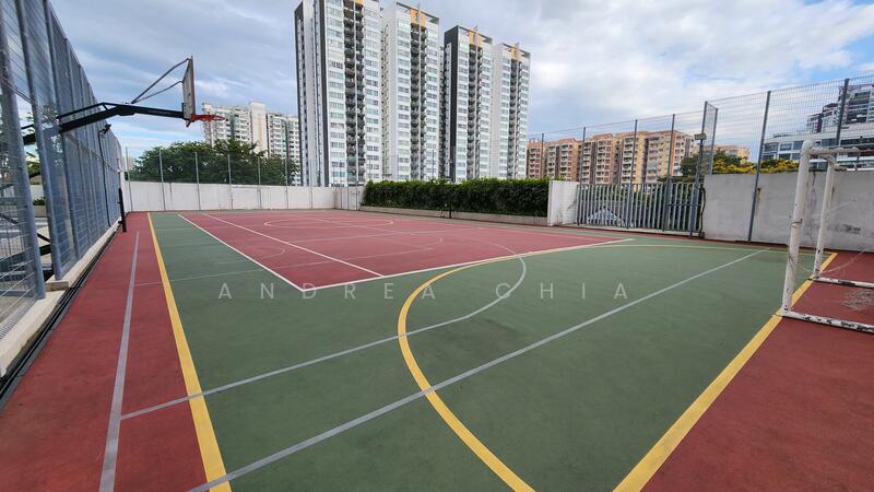 Basketball court