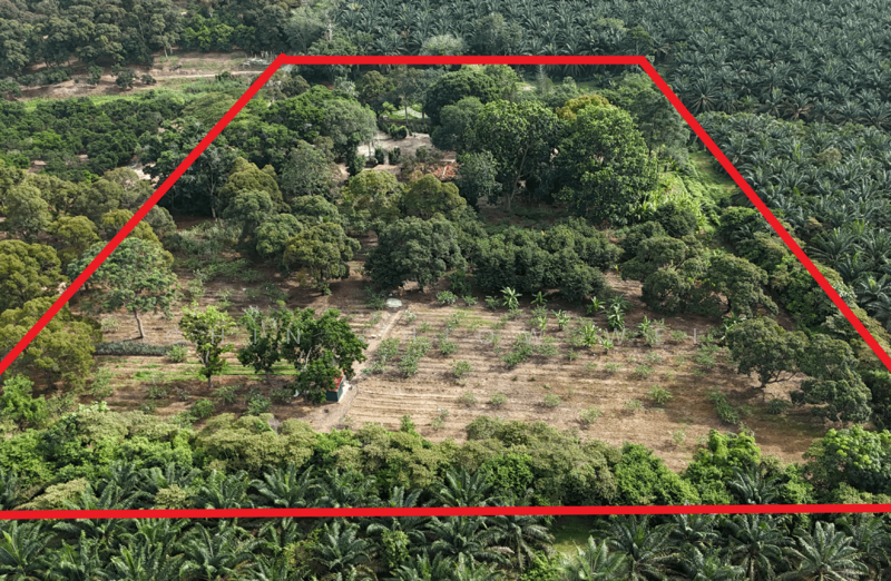 Other Property for Sale in Bemban (Melaka) - Chin Shiow Wei - South - PropertyGuru.com.my