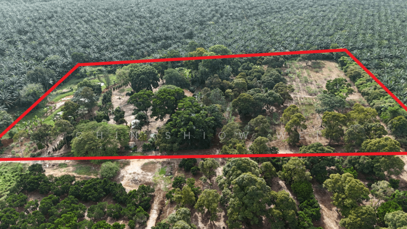 Other Property for Sale in Bemban (Melaka) - Chin Shiow Wei - West - PropertyGuru.com.my