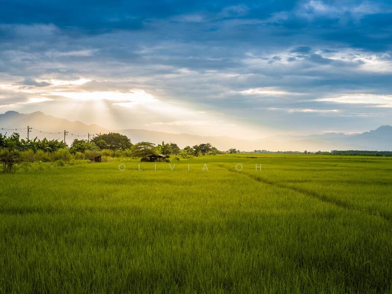 Industrial Land for Sale in Kawasan Perindustrian Nilai (Nilai) - OLIVIA OH - Exterior - PropertyGuru.com.my