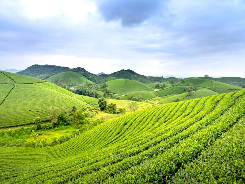 Industrial Land for Sale in Kawasan Perindustrian Nilai (Nilai) - OLIVIA OH - Exterior - PropertyGuru.com.my