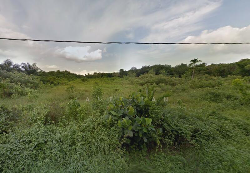 Residential Land for Sale in Kampung Pulai Jelutung (Gelang Patah) - Janet Tan - Exterior - PropertyGuru.com.my
