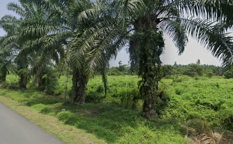 Industrial Land for Sale in Jeram (Selangor) - Keith Lian - Exterior - PropertyGuru.com.my
